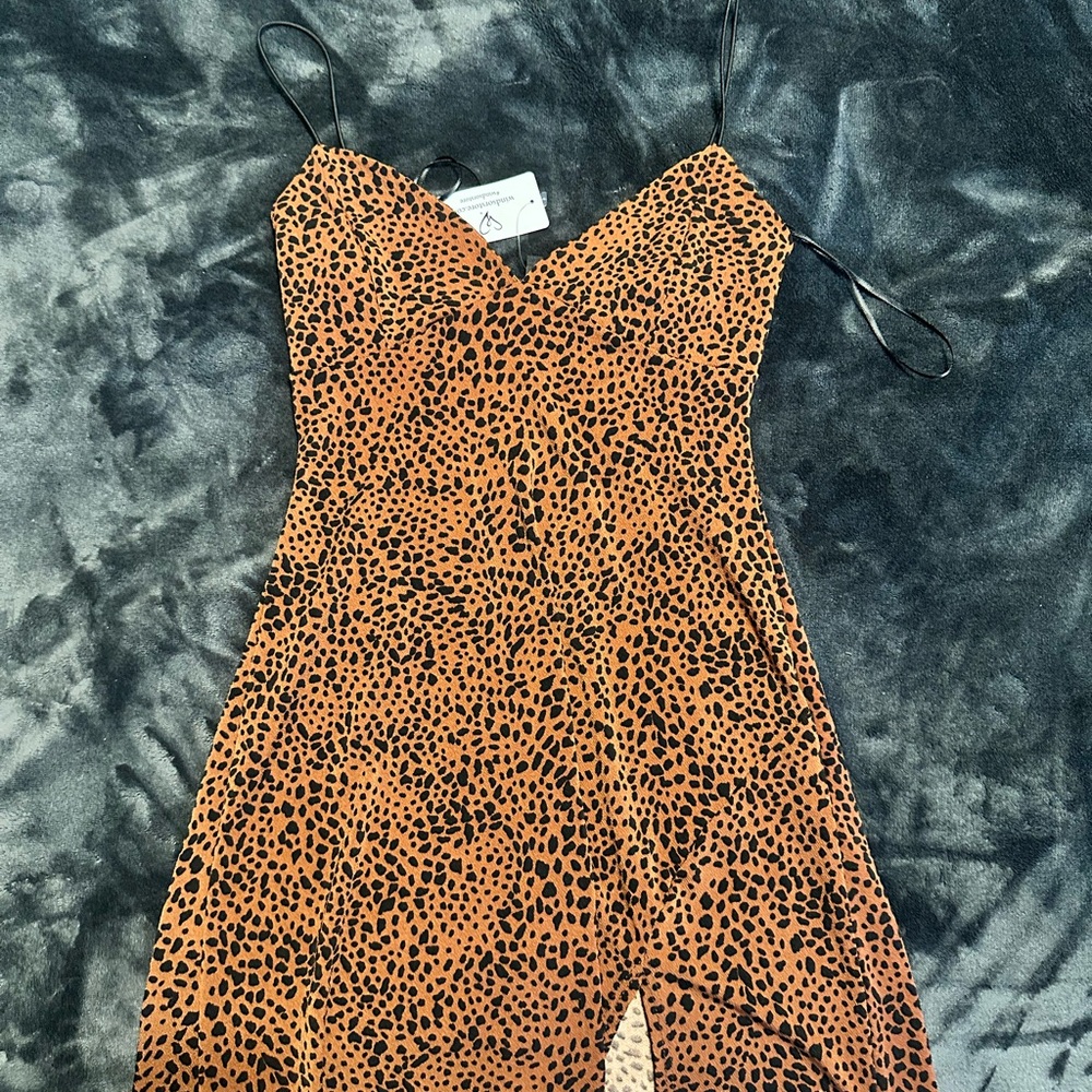 Windsor print dress BNWT